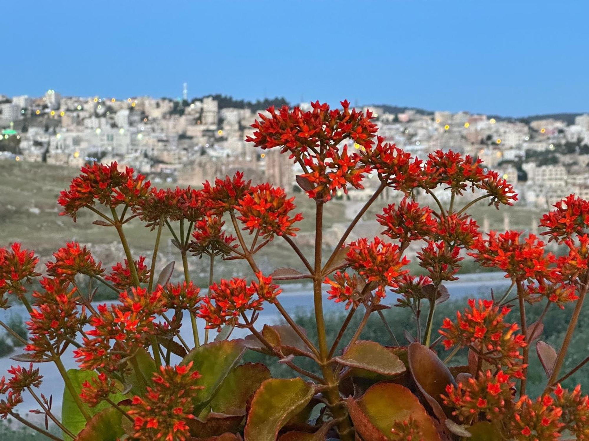 Jerash City View Gérasa Exterior foto